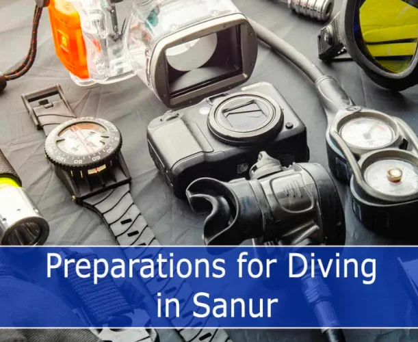 arranged ensemble of diving equipment